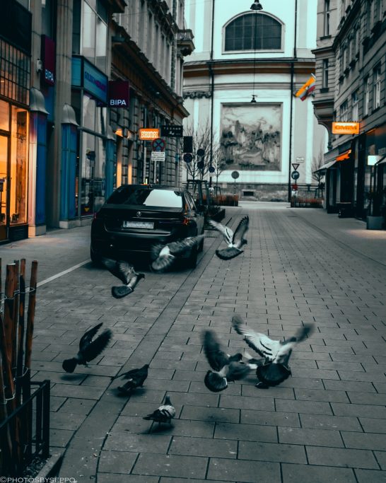 Vögel fliegen über eine leere Straße mit geparktem Auto und historischen Gebäuden.