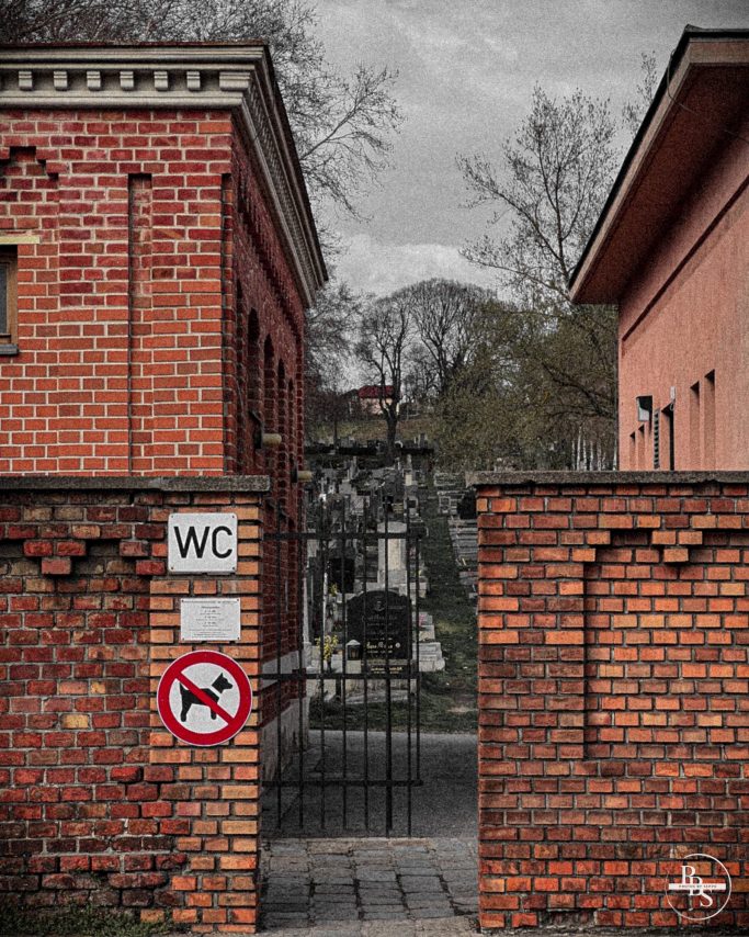 Eingang zu einer Stelle mit einem Schild für Toiletten und einem Hundeverbot.